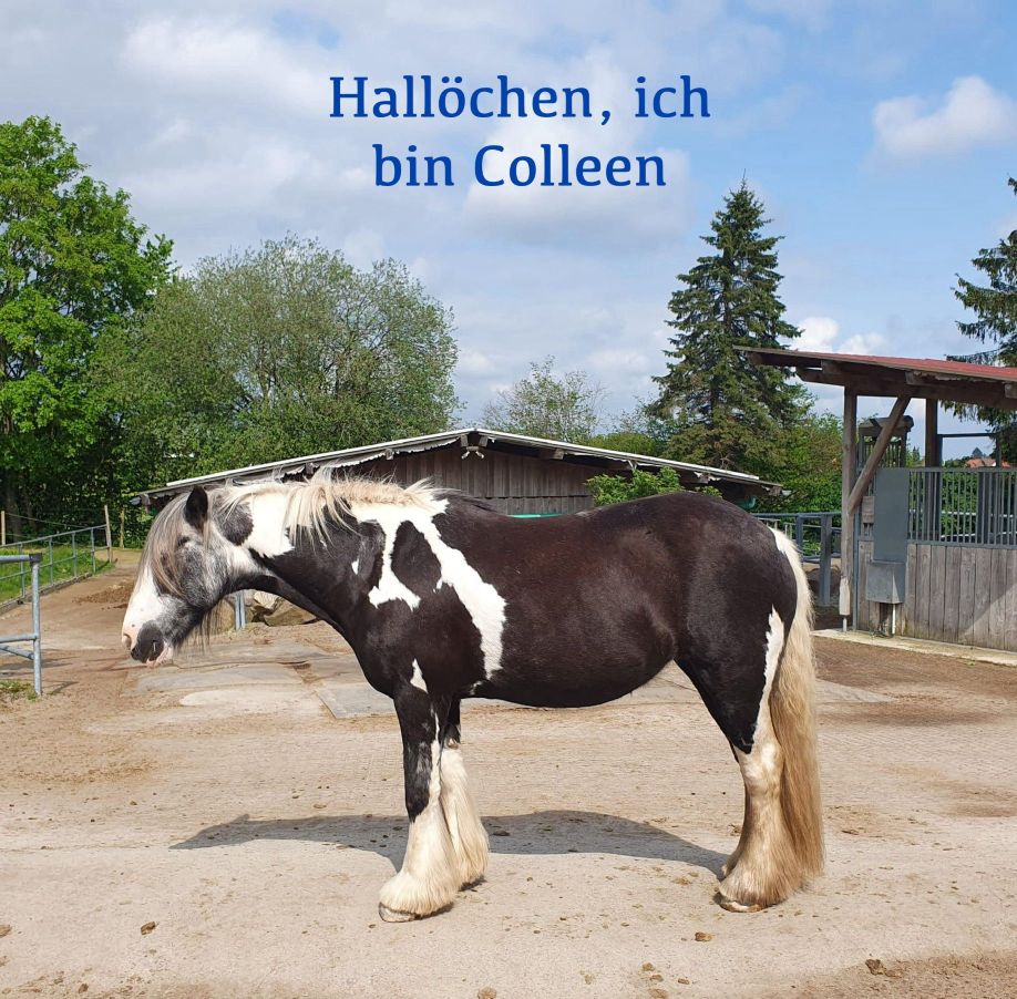 2023 12 Dezember 647